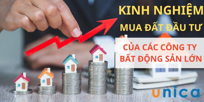 Kinh Nghiệm Mua Đất Đầu Tư Của Các Công Ty Bất Động Sản Lớn